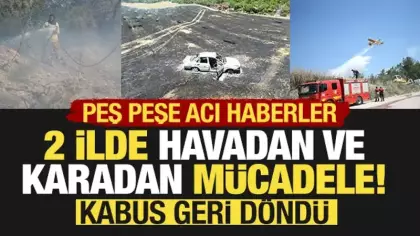 2 ilde canhıraş mücadele: Havadan ve karadan müdahale ediliyor!