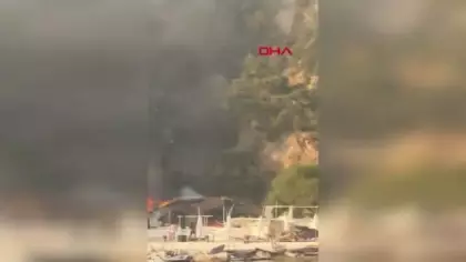 4 kişi yaralandı: İstanbul'da plajdaki yangın ormana sıçradı