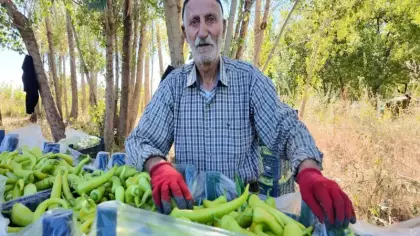86 yaşında üretime devam ediyor: Günlük 6 ton satıyor