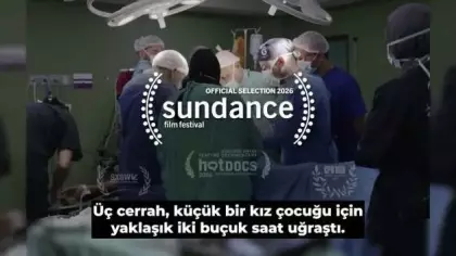 ABD'li doktorlar felaketi gözler önüne serdi: Burada en büyük katliam yaşandı!
