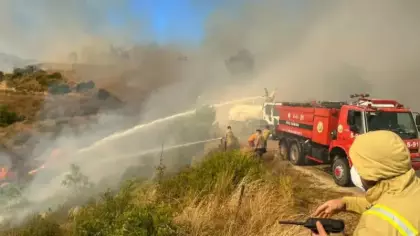 Adana ve Kayseri'de orman yangını!