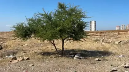 Adana'da genç şahıs boş arazide ölü bulundu