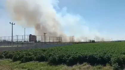 Akçakale sınır hattındaki mayınlı alanda yangın endişelendirdi