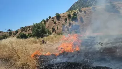 Alevler kırsalı sardı! Diyarbakır'da yoğun müdahale