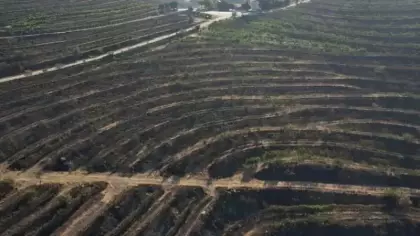 Alevler yılların emeklerini dakikalar içinde yok etti