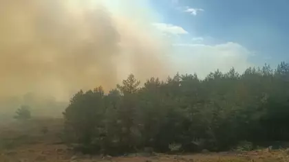 Anız yangınında alevler ormana sıçradı