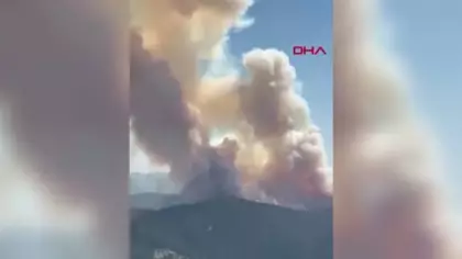 Ankara'da orman yangını