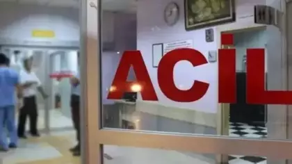Annesine mesaj atan kişiyi demir çubukla döverek öldürdü