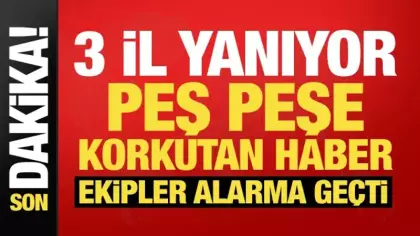 Antalya, Çanakkale ve Balıkesir'de orman yangını! Çok sayıda ekip sevk edildi
