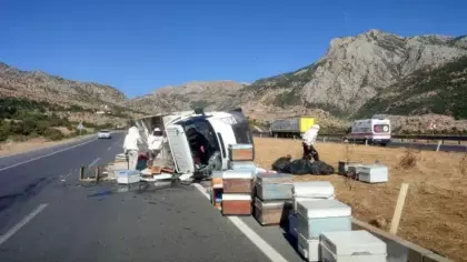 Arı kovanı yüklü kamyonet devrildi!