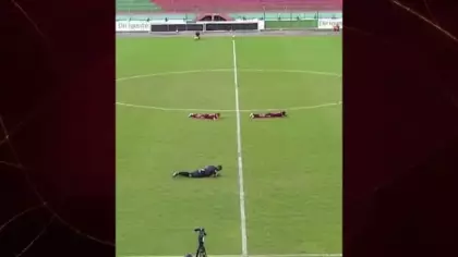 Arı sürüsü sahayı bastı: Final maçı böyle durdu