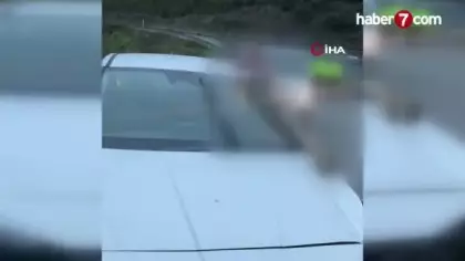 Arnavutköy'de korkunç kaza: Atın kopan bacağı arabanın camına saplandı