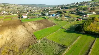 Arsa yatırımcısı Anadolu'ya yöneldi! İstanbul hem pahalı hem yer kalmadı!