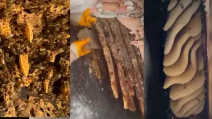 Avcılar'da kentsel dönüşümde yıkım ekibi gördükleri bal karşısında şaşkınlığını gizleyemedi