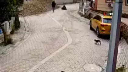 Avcılar'da korkunç kaza: Yaşlı kadın 4 metrelik rögara düştü