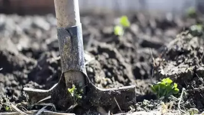 Avrupa Birliği'nden çiftçilere 540 milyon avroluk gübre desteği