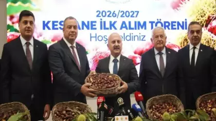 Aydın kestanesinde sezonun ilk ürünü 600 TL'den alındı