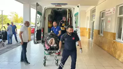 Ayı saldırısına uğrayan çoban yaralandı