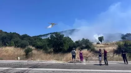 Ayvacık'ta orman yangını kontrol altına alındı