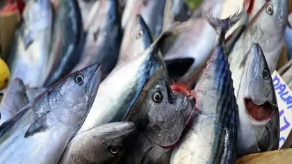 Balıkçıları sevindiren gelişme! Beklenen karar resmileşti