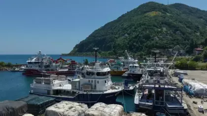 Balıkçıların yeni sezonda umudu palamut