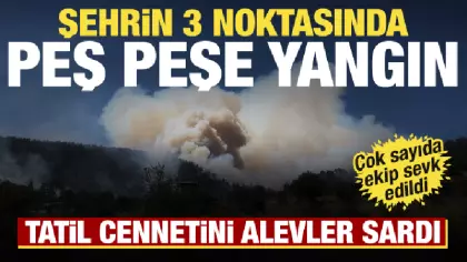 Balıkesir'de peş peşe yangın! Tatil bölgesini alevler sardı