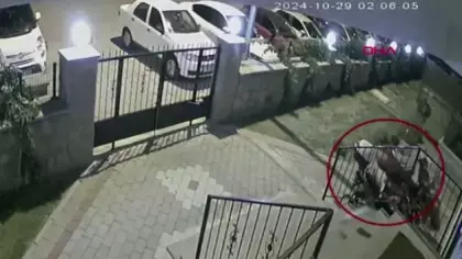 Balkondan düşen restoratör Tuğba'nın sır ölümü: En yakını için kritik karar
