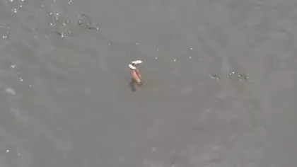 Barajda ceset ihbarına gittiler, gerçek çok başka çıktı!