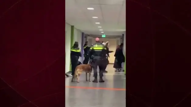 Barbar Avrupa yine sahnede: Filistinli hamile kadını yerden yere vurdular!