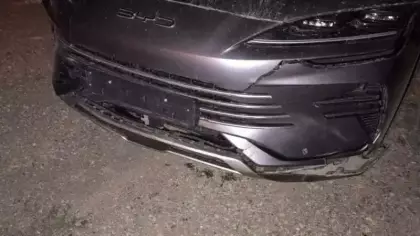 Bilecik'te otomobilin çarptığı domuzlar telef oldu