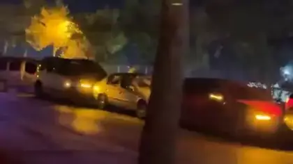 Bolu'da yola fırlayan köpekler trafiği birbirine kattı: 5 araç birbirine girdi