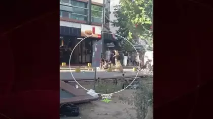 Böylesi ne görüldü ne de duyuldu! İzmir'de obez köpeğe börek verme kavgası.