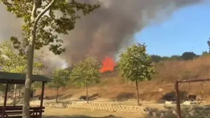 Büyükçekmece sahilinde korkutan yangın