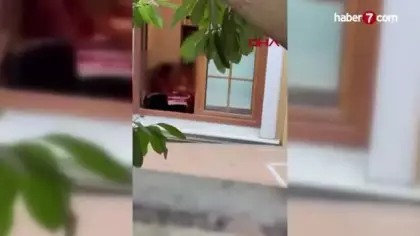 Büyükçekmece'de skandal görüntü! 10 yaşındaki çocuğa şiddet kamerada