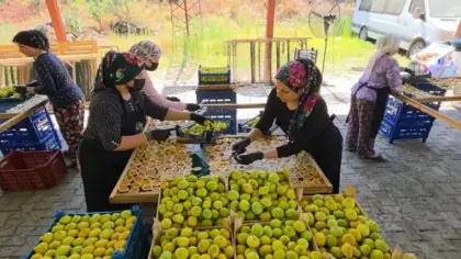 Cami önlerinde başladı şimdi tüm Türkiye'ye satıyor