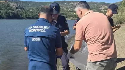 Çanakkale'de barajdaki balık ölümlerine inceleme