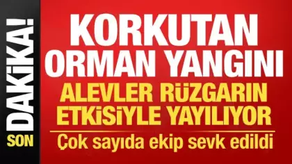 Çanakkale'de korkutan orman yangını! Alevler kısa sürede yayıldı