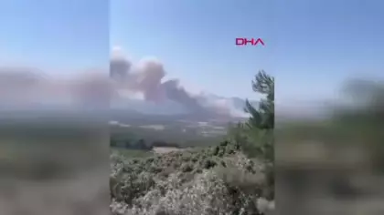 Çanakkale’de orman yangını
