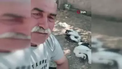 Çankırı'da bahçesindeki leyleklerin öldüğünü gören adam gözyaşlarını tutamadı