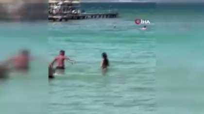 Çeşme’de denizde görülen yılan paniğe neden oldu