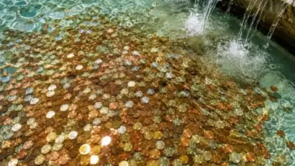 Çeşmeden servet akıyor! İçinden çıkan para şaşkına çevirdi