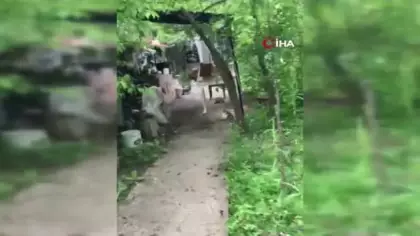 Ceviz bulamayınca kabı yere fırlattı: Sincap ile vatandaşın diyaloğu gülümsetti