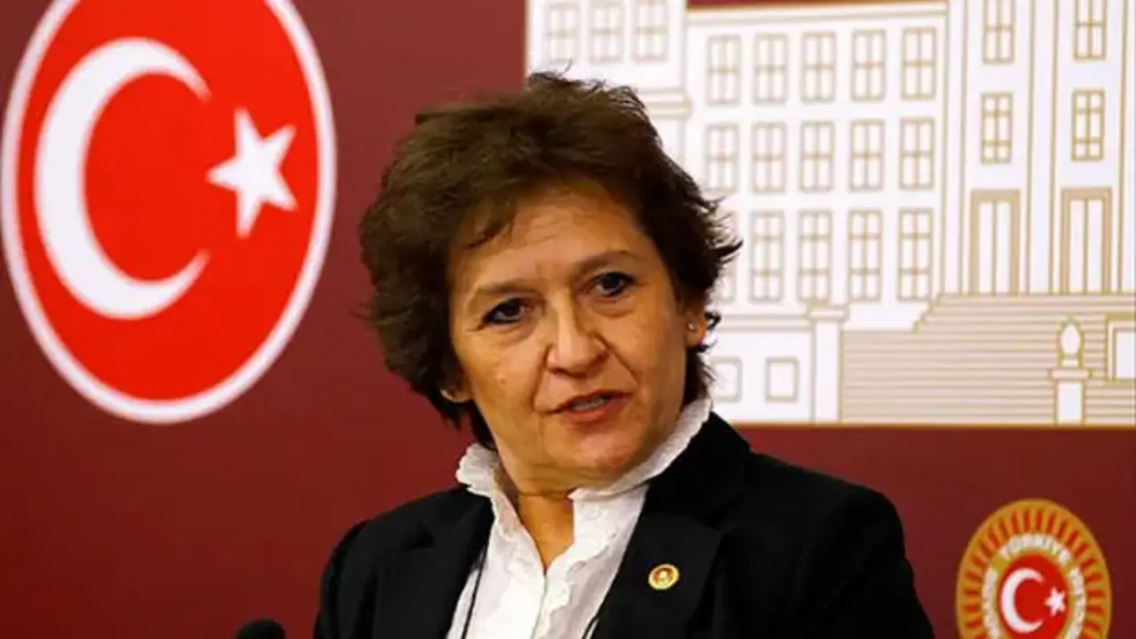 CHP’li Güler “FETÖ partilere yapışan bir deniz kabuklusu” AK Parti silkelendi kurtuldu!