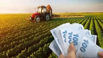 Çiftçinin beklediği haber geldi! Destek ödemeleri hesaplarda
