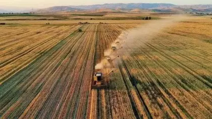 Çiftçiye destek yağmuru! Tarım ve hayvancılıkta ödemeler artırıldı
