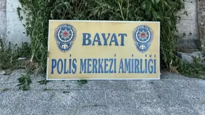 Çiftlikte 46 kök Hint keneviri ele geçirildi: 1 tutuklama