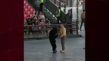 Çin'deki safari parkında ayı bakıcısına saldırdı