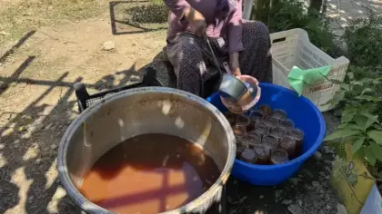Çuvallarla toplanıyor, 11 saatlik işlemden geçiyor: Kilosu 500 lira