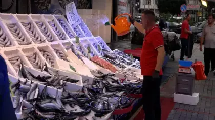 Denizden çıkar çıkmaz kapışılıyor! Fiyatı belli oldu: Tezgahlarda yoğunluk başladı