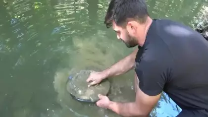 Derelerden gram gram altın topluyor: En değerli bölgeleri tek tek açıkladı